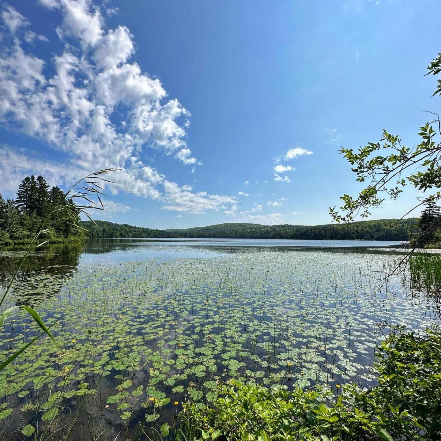 Auberge Du Lac Malcom Sayabec Kültér fotó